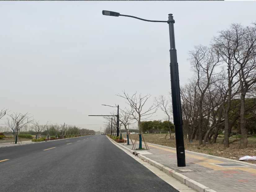 榕城区上海综合杆 太阳能路灯工程